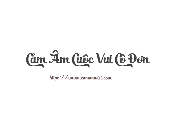 Cảm Âm Cuộc Vui Cô Đơn - Lê Bảo Bình