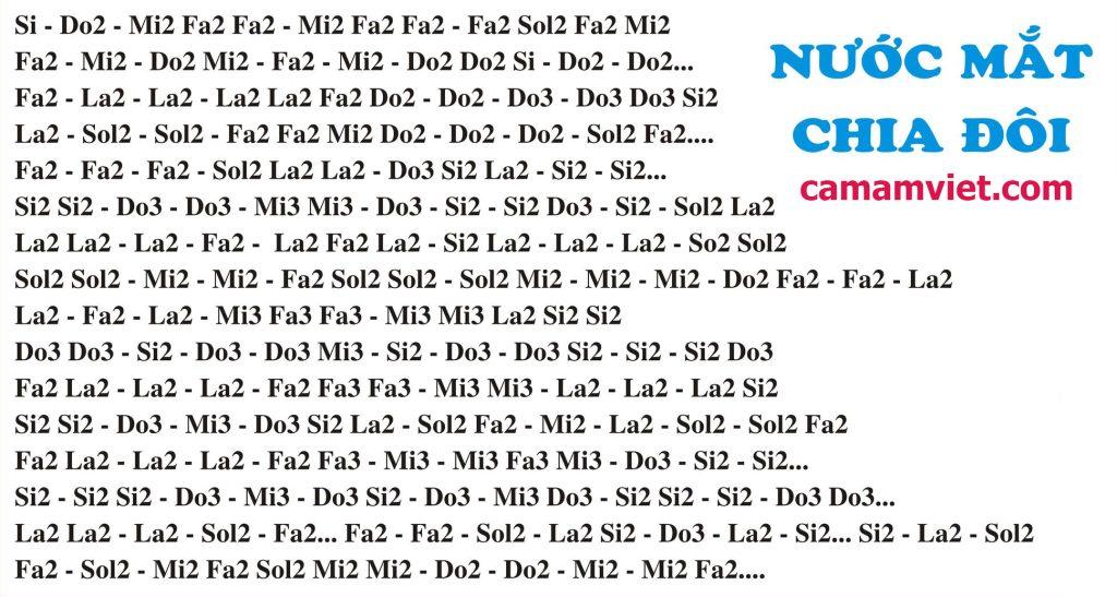 Cảm âm NƯỚC MẮT CHIA ĐÔI