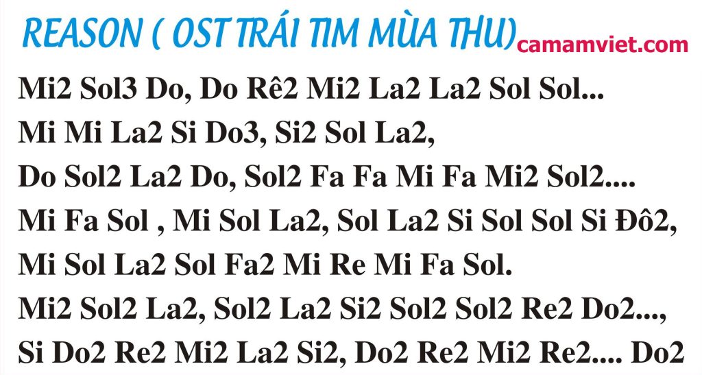 Cảm âm REASON ( OST TRÁI TIM MÙA THU )