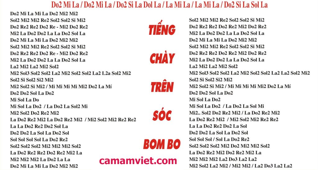 Cảm âm Tiếng chày trên sóc bom bo