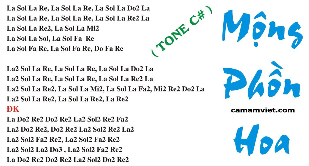 Cảm âm MỘNG PHỒN HOA | C#